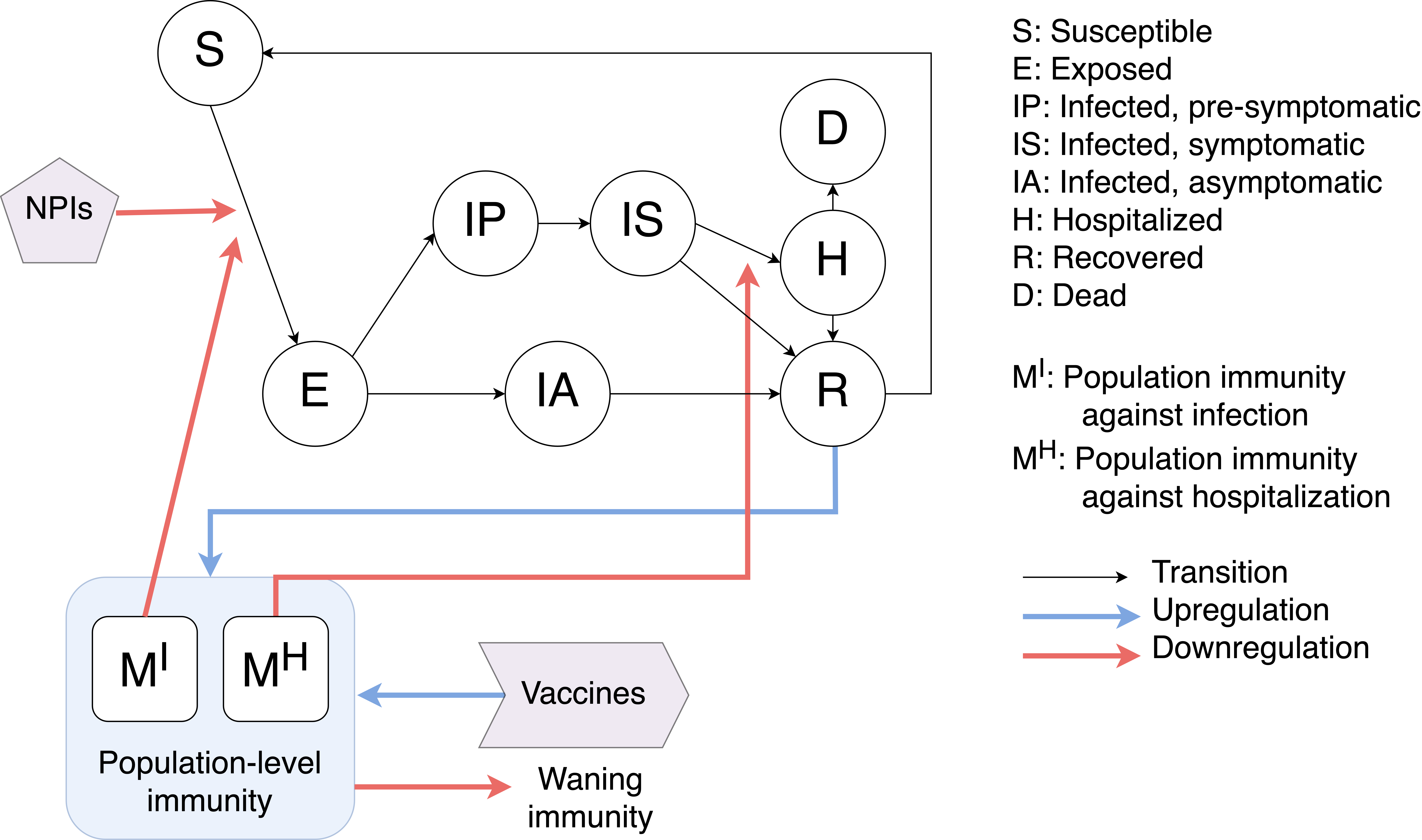flu_model_diagram