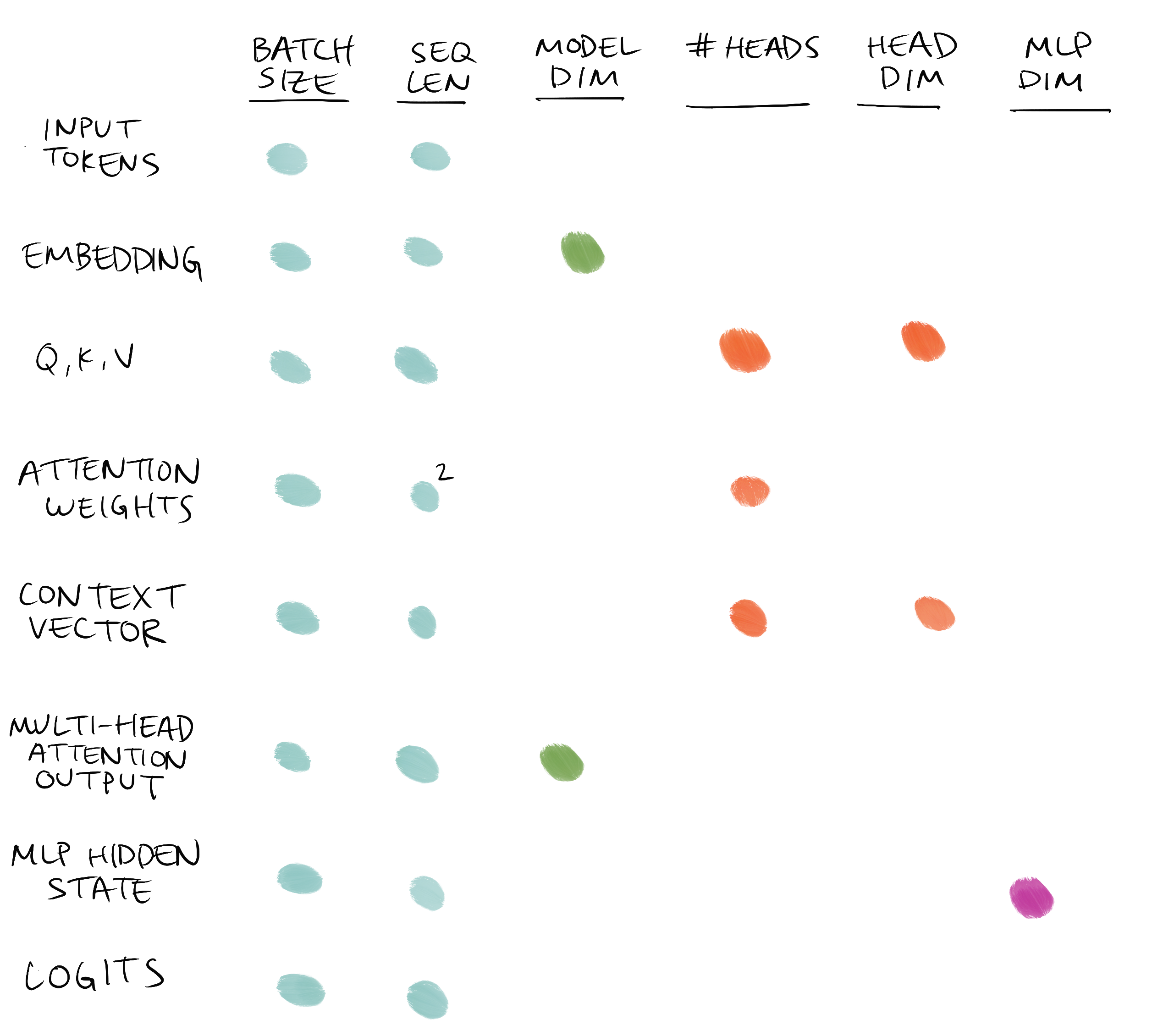 Understand Transformers through Tensor Shapes